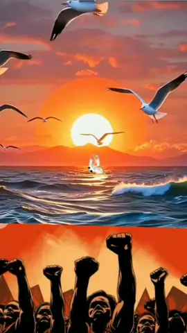 #creatorsearchinsights #pourtoi #cotedivoire🇨🇮2025 #suivis #burkinatiktok🇧🇫🇧🇫🇧🇫❤️ 