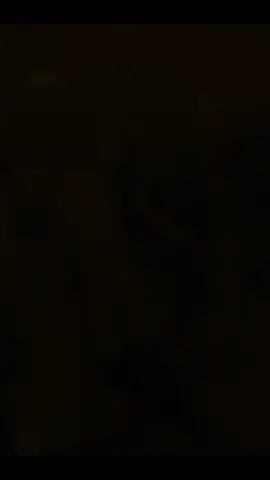 #gymgirls #corechallenge #coreexercises #coreworkout #corestrength 