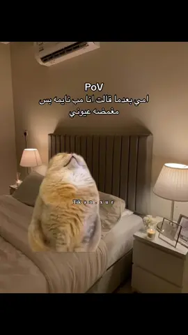 #اكسبلور #رياكشن #ميمز #fyp 