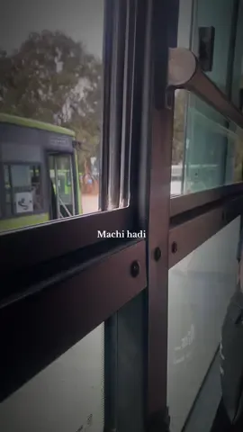 #algeria #Love #الحياة #fyp #الحياة لي بغيتها انا ماشي هادي 