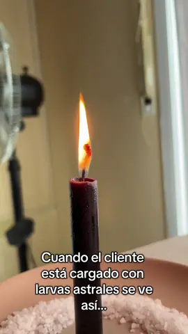 Mar larvas astrales causan mucha pesadez, baja energía, bloqueos, mal humor y no te dejan dormir bien… entre otras cosas. #larvasastrales #parasitosenergeticos #velas 