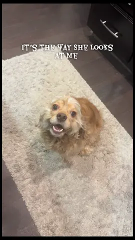 Alrighty then… #dogsoftiktok #dogs #doglife #doglovers #fypシ 