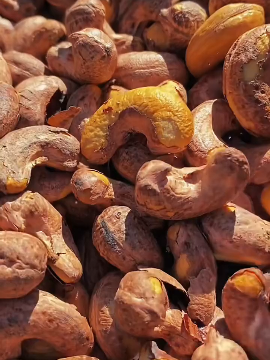 มะม่วงหิมพานต์#tiktokครีเอเตอร์ #tiktokshopครีเอเตอร์ครีเอเตอร์  #tiktokครีเอเตอร์🛒 #กินกับtiktok #มะม่วงหิมพานต์ 