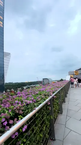 Marina Bay sand Singapore 🇸🇬 #explorepage✨ #viralpage #fypage #meymiaexplore 