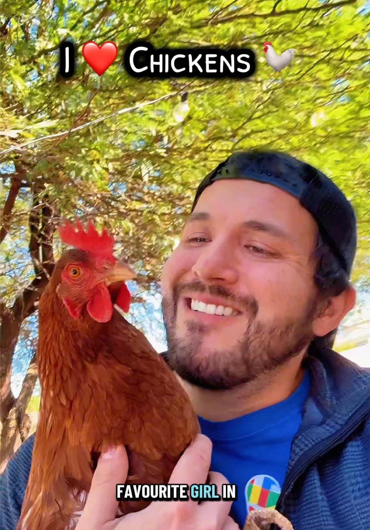 🚨Fun fact: not all eggs are white or brown — some chickens lay blue, green, or even pinkish eggs! 🌈🐔✨ It all depends on the breed #farmlife #chickens #viraltiktok #petlove #fyp 
