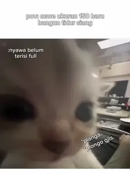 wkwkwk nyebelin bet mukanya #fyp #meme 