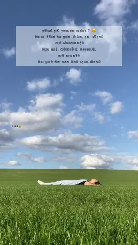 🕊 . . . . #OSHA🌻 #tiktok #trending #100k #fypシ゚ 