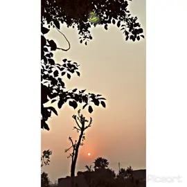 #Hanj🙌🏻🐍#fyp #100k #❤️سوہناپنجاب #پینڈاں_آل #viral #foryoupage 