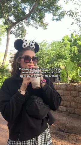 Animal Kingdom is stunning, but nothing compares to the Kingdom that’s coming. ✨🌍 #christian #christiantiktok #disneyworld #wdw #animalkingdom 