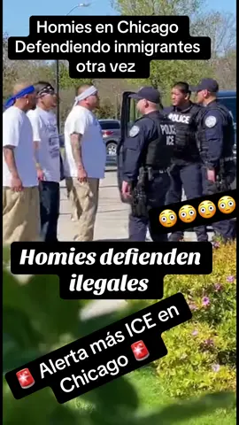 🚨NOTICIA ULTIMA HORA🚨 #noticias #fyp 