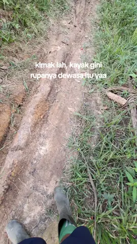 #storysawit #sawitontiktok #masukberanda #kulisawit #petaniindonesia🇮🇩🇮🇩🇮🇩🌿🌿 