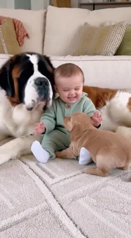 #dog #cutebaby #funnytoddler 