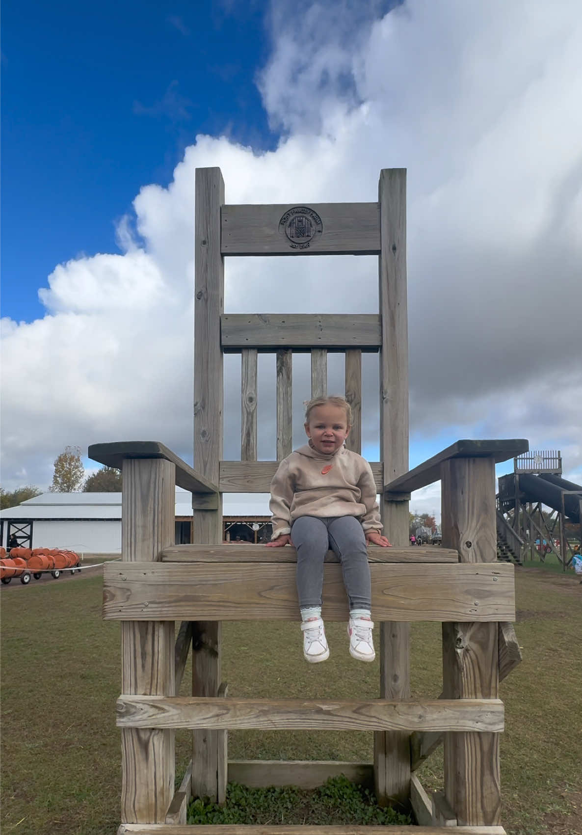 our favorite farm around 🐴💛🚜 #postfamilyfarm #hudsonvillemichigan #familytradition #familytok 