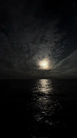 Có quá nhiều chuyện phải suy nghĩ.