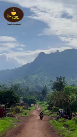 SCALING HEIGHTS AND BREWING CONNECTIONS🏳️  😎⛰️🌱🍒 #ElgonMountains  #SmalllHolderFarmers #Adventure - what more could you ask for?  #SpecialtyCoffees 😋  #CoffeeConnections 😋  ❤️ @Priscilla Murunga ✝️🍒 @Harryframes📸🎥🇺🇬. @What’s Up Mbale 