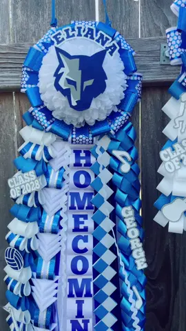 Lehman HOCO #homecoming2025 #mumbraids #craftsbyb 