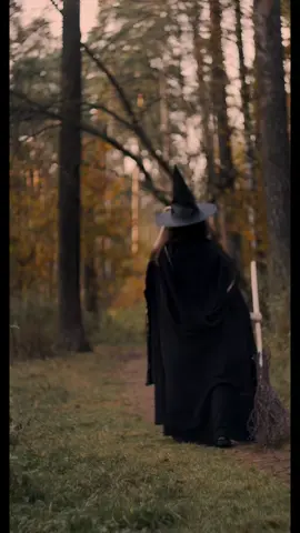 Halloween #halloween #pumpkinseason #halloween2025 #LIVEIncentiveProgram #LIVEStory 