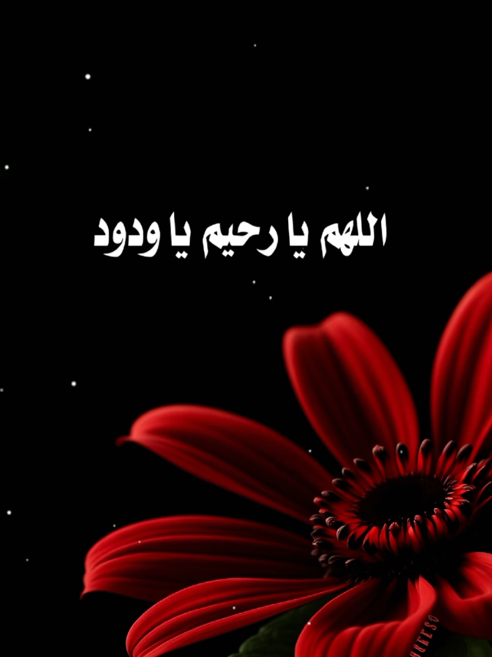 #اللهم_يارحيم♥ 