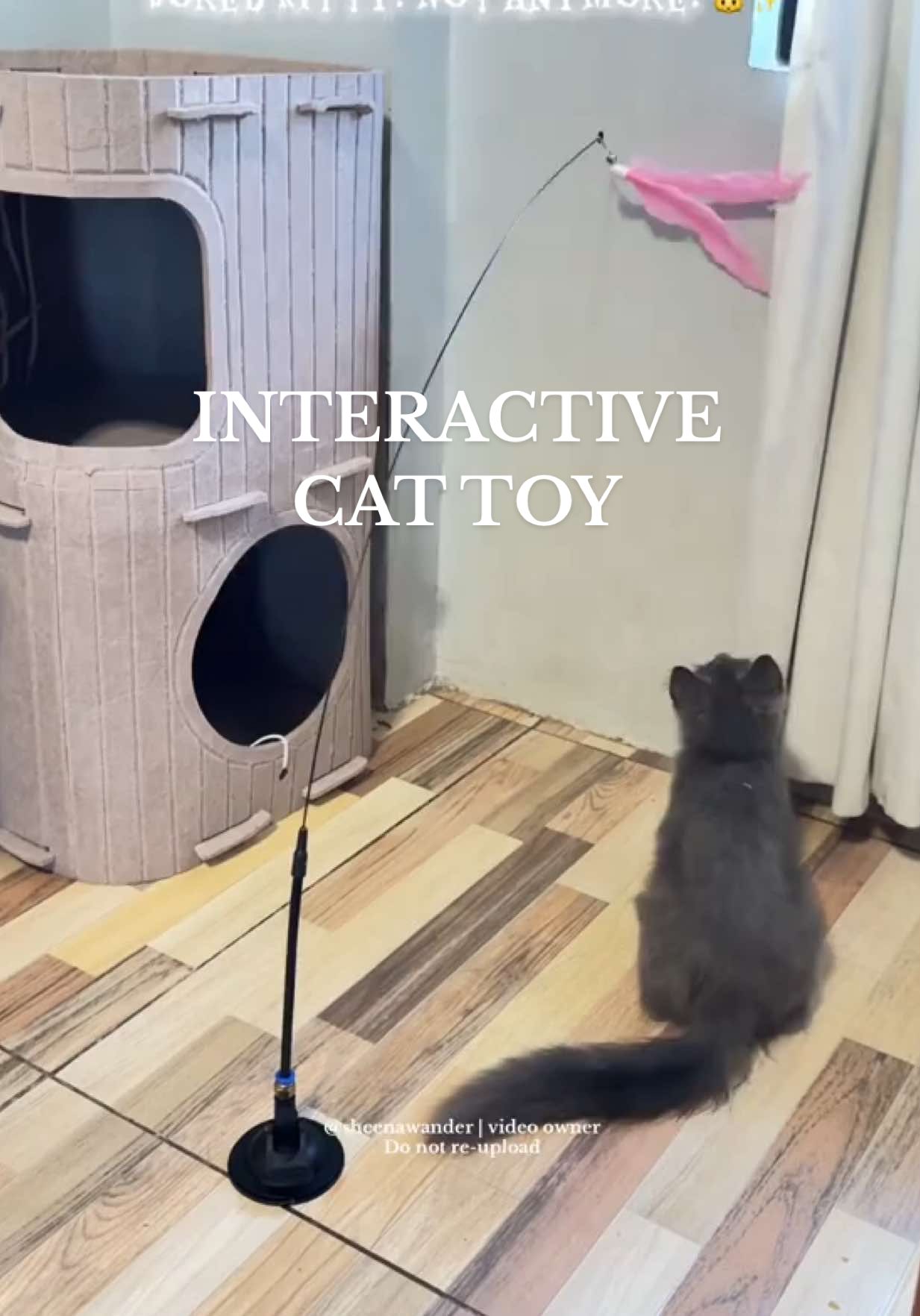Interactive cat toy with feather and bell. Ideal for active cats and curious kittens 🐾💛 #cattoy #catinteractivetoy #cattoys #petessentials #catsoftiktok 