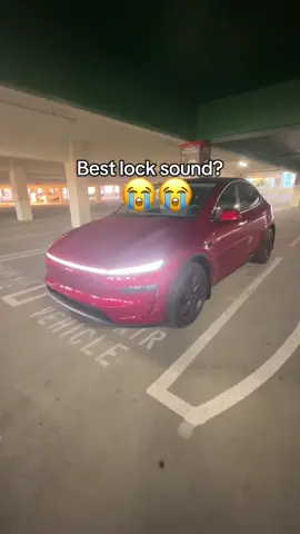 Loving this new locksound🤤 #tesla #modely #locksound #fyp 