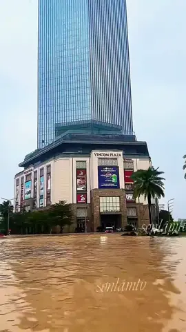 TIỀN TỈ TRÌM TRONG BIỂN NƯỚC CẢNH TƯỢNG KHIẾN AI CUNG XÓT XA 