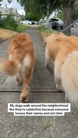 Those wiggles say it all