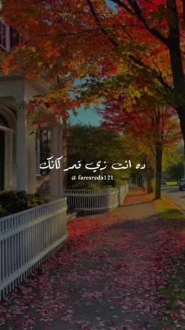 كل حاجه حلـــوه منك حرفياً...🥺❤️