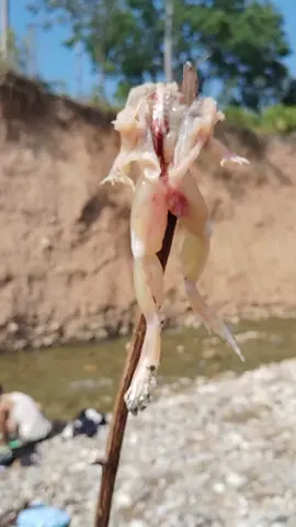 #ftypシ #goviral #boy_of_batolpur 