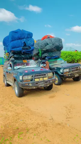 Guulane@Suldaanka wiil boqortooyo💋💯 