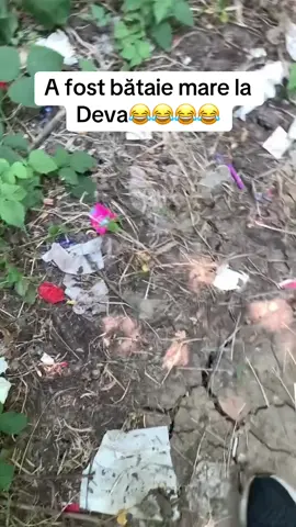 #aprecieri🙏 #fyromania🇹🇩 #foryoupage❤️❤️ #valcearomania🇹🇩 #viral 