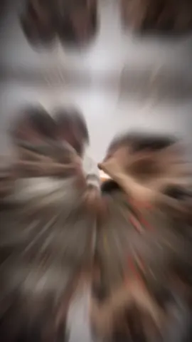 sockkk#ngkhanh#cda #viral #notflop #xh 