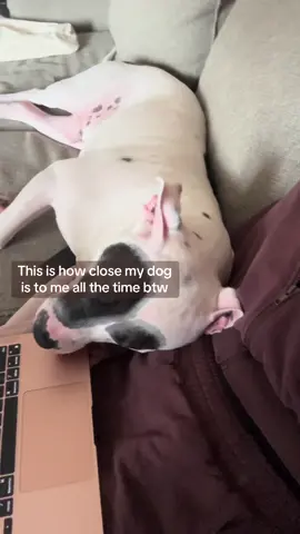 Ew, I wasn’t ready for his eyes to be like that.  Sleepin on the job 