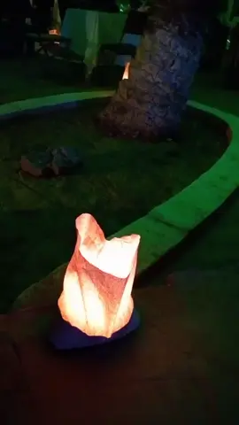 #تيميمون_أدرار_بشار_ورقلة_تمنراست  #جنان_مالك_تيميمون  #صحراوي 