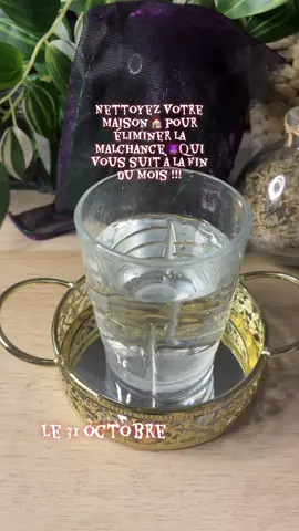 ✨ Fin de mois, fin de cycle… Le 31 octobre approche — moment parfait pour purifier ton espace 🍃 Passe un verre d’eau avec une pincée de sel dans chaque pièce, pour dissoudre les énergies lourdes accumulées durant le mois. Pendant que tu le fais, répète lentement : « Que cette eau purifie, que ce sel protège, que tout ce qui est lourd s’en aille et ne revienne jamais. Merci. » Ensuite, verse l’eau dans les toilettes ou dans la terre pour libérer définitivement ces énergies. 🌙 Fais-le le 31, dans le calme, avant minuit. Tu sentiras ton espace plus léger, clair et apaisé… prêt à accueillir le renouveau. ✨ Écris simplement « libéré(e) » en commentaire pour activer ta purification et sceller ton intention. 🌕 #purification #rituelmagique #witch #witchy #rituel 