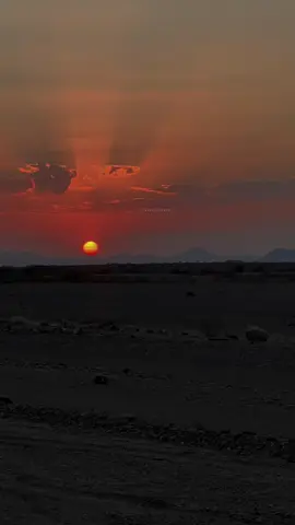 #CapCut ##لايك__explore___ ##اكسبلورexplore ##سبحان_الله_وبحمده_سبحان_الله_العظيمم 