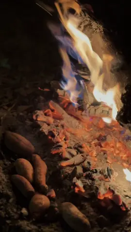 🤍🍃🌲🔥⛺️☁️#CapCut #urbancampkhaoyai⛺️ #ladycamping🏕 #khaoyai #สตอรี่ความรู้สึก 