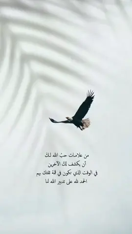 #الحمدالله_علی_کل_حال❤ #كلام_من_القلب #😍😍😍 #خواطر #🦋 