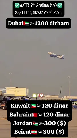 #creatorsearchinsights #ethiopian_tik_tok🇪🇹🇪🇹🇪🇹🇪🇹 #airplane #agency #videoviral 