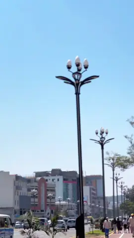 🌆የ አዳማ ልጆች የታላቹ  አለን በሉ😍👉🏿ኮመንት ላይ🌉🎥🎥@beki ጨፈሪያንስ 🕺 #ethiopian_tik_tok #አዳማ #fypシ゚ 