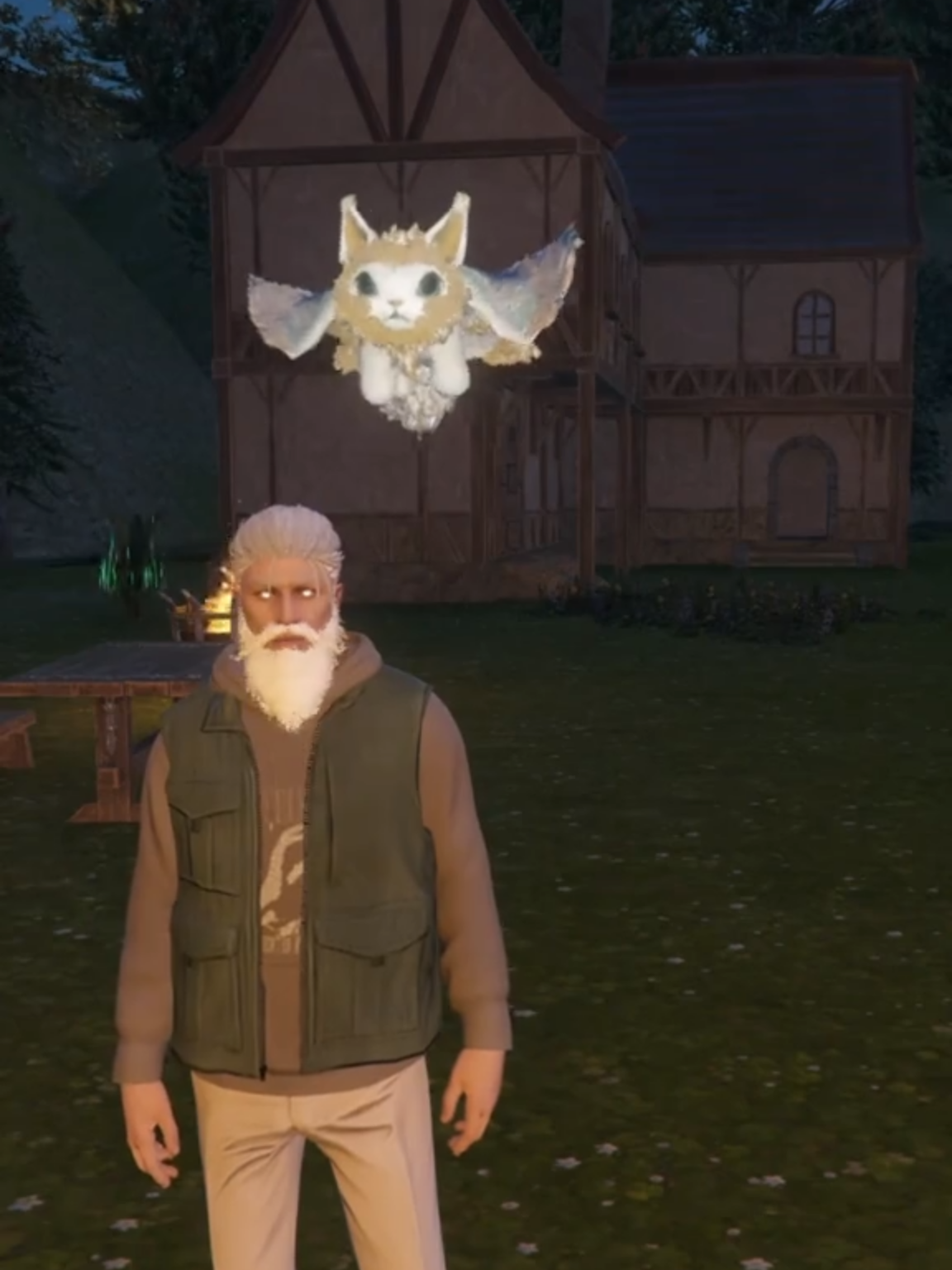 FIVEM WITCH TOWN Magic PETS & SKILLS #fivemdeutschtsch #fivemrpserver #gta5rpp #gta5roleplayy