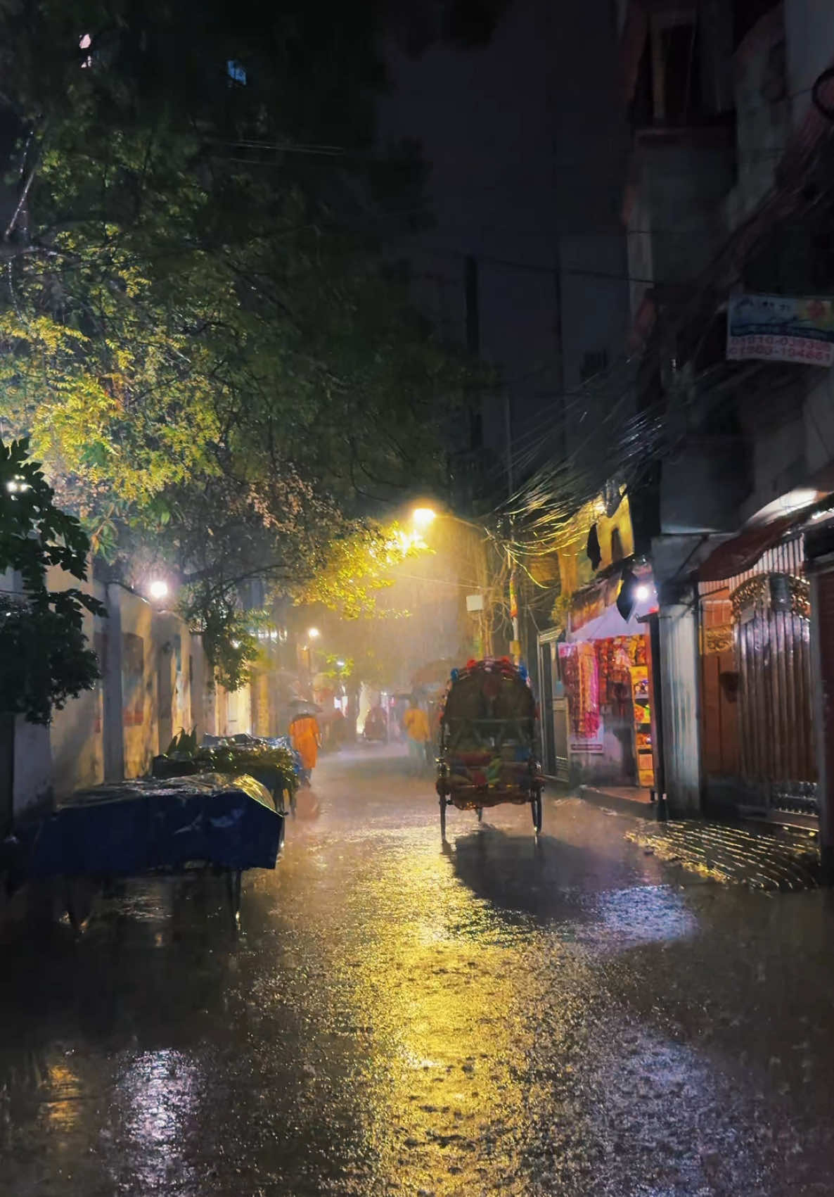 ভিজতে ইচ্ছে হলে অজুহাত লাগে নাকি? 🌧️       #rain #night #dhaka #asif #asif757575 