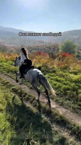 Посадка неправильная, но думаю, тоже залетит🤣❤️‍🔥 #рекомендации #elbruso #ат #horse #fyp 