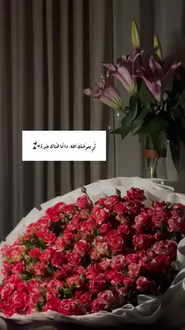 ‏سيجبر الله قلبك بقدرته ويدبر لك كل شيءٍ ‏في وقته وأنت لا تشعر🤍#اكسبلور 