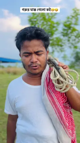 গরুর মাস্ক গেলো কই😁🤣#funny #entartainment #tiktok #funny tiktok #comadyvideo 