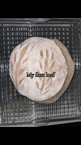 My passion for baking has re-lit with this sourdough journey ✨ This is my gentle reminder that things take practice, you can literally do anything you put your mind to! #fyp #sourdoughbread 