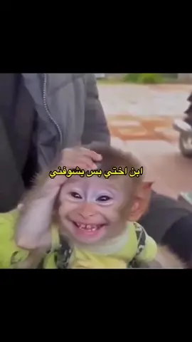 😂😂😂😂#اكسبلورexplore #شعب_الصيني_ماله_حل😂😂 