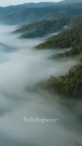 เป็นอีกเหตุผลนึงที่เราหลงรัก พี่น้องชาวปกาเกอญอมากๆ  . . . . . #วิถีชีวิต #คนกับป่า #การเดินทาง #อนุรักษ์ #คนต้นน้ำ    