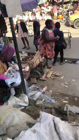 Unis pour la paix 🫲