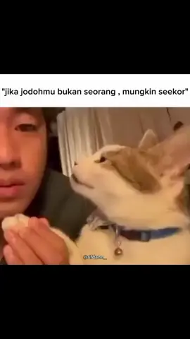 #memestiktok #ngakak#fyppppppp