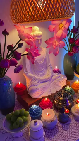 “Cuộc đời vốn không cần quá nhiều câu trả lời, chỉ cần một tâm biết lặng yên trước mọi biến động. Khi lòng an, thì đúng sai cũng hoá nhẹ, mất còn cũng chẳng còn đáng sợ nữa.” #Nammobonsuthichcamauniphat#tuongphatthichca 